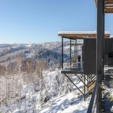 висота890 Holiday home Volosyanka (Lviv)